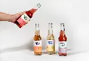 Why Not Soda Gamme.webp