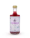 Sapinca, Organic Fruit Elixir 495ml